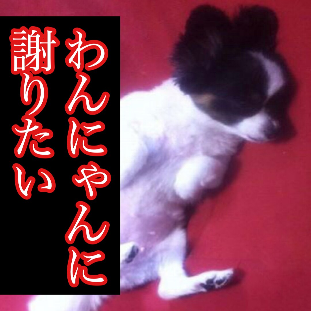 月黄泉先生のプロフィール写真