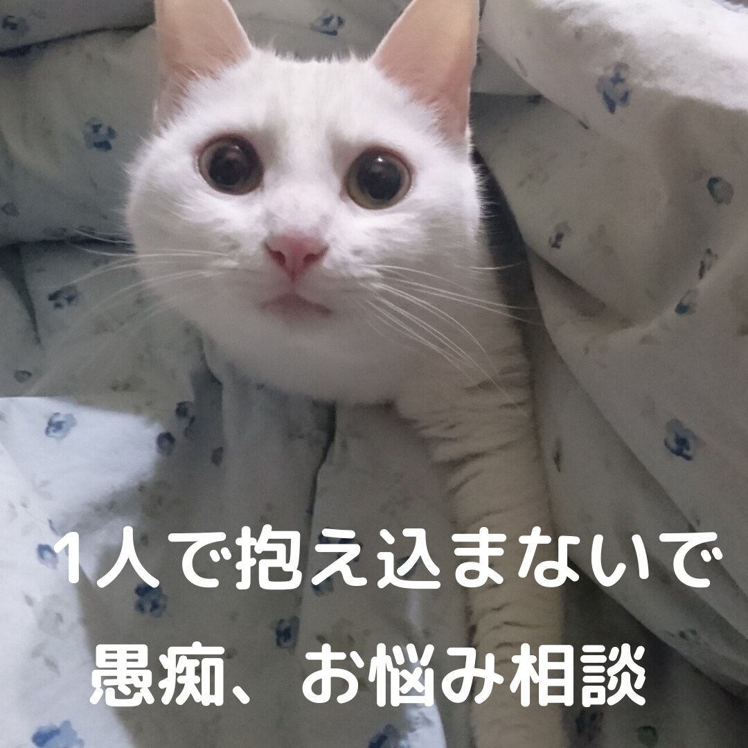 秘密厳守！誰にも言えない話、悩みをお聞きします 1人で抱え込まないで、全部自分が受け止めます！ イメージ1