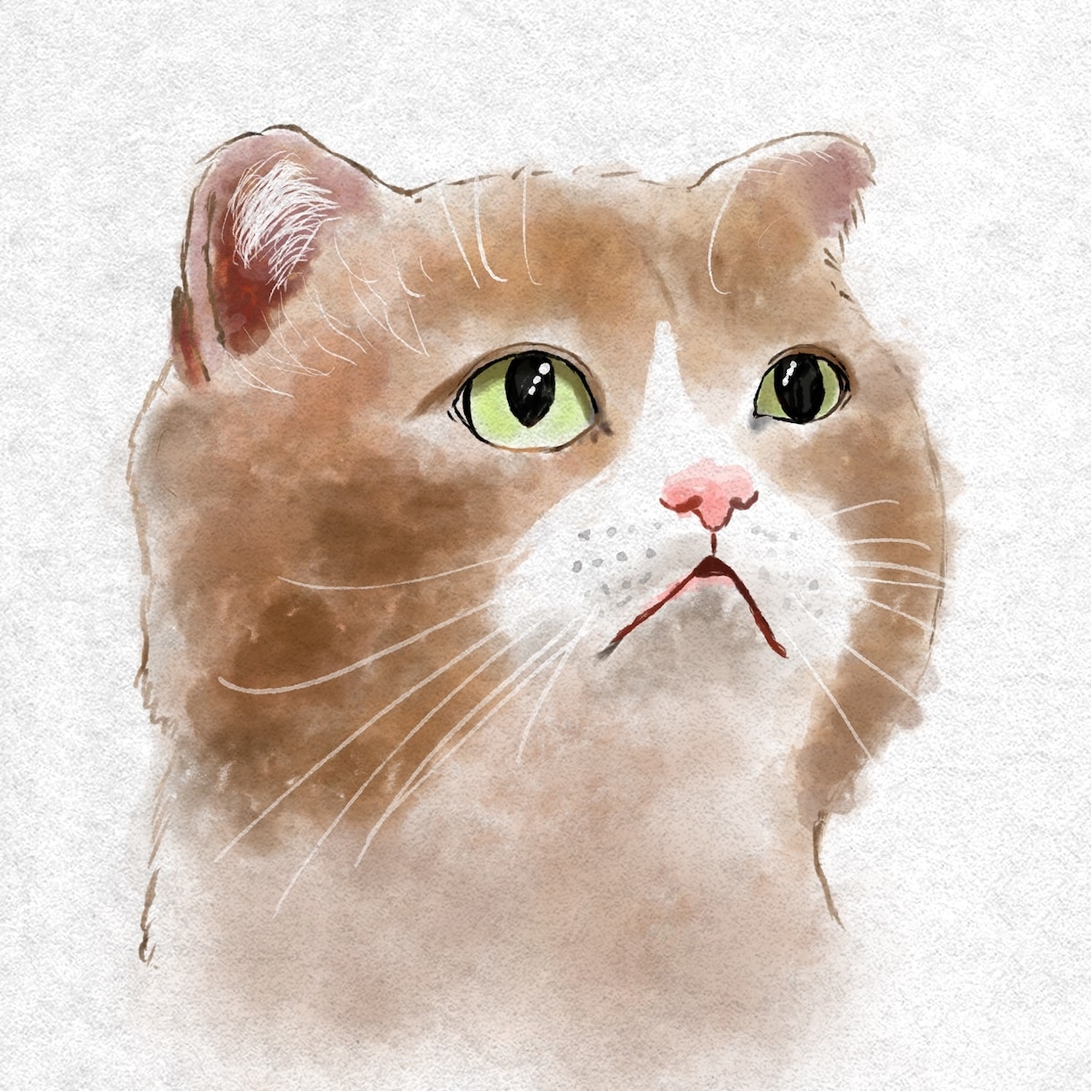 愛猫さんのイラストを描きます ちょっぴりリアルでおしゃれな雰囲気に仕上げます イメージ7