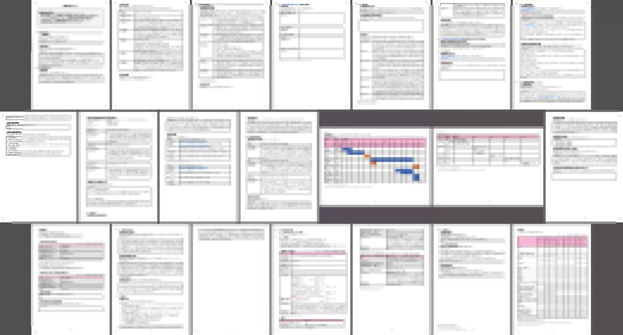 新事業進出・ものづくり補助金の計画書を支援します 審査を踏まえた【高品質な】事業計画書を【素早く】支援します。 イメージ4