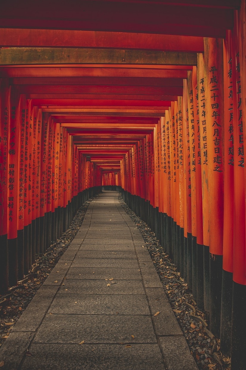 過去世で1番ご縁のあった神社•神様をお教えします 過去世からの神様と再び縁を繋ぐ　行動する事で変わる霊視　占い イメージ6