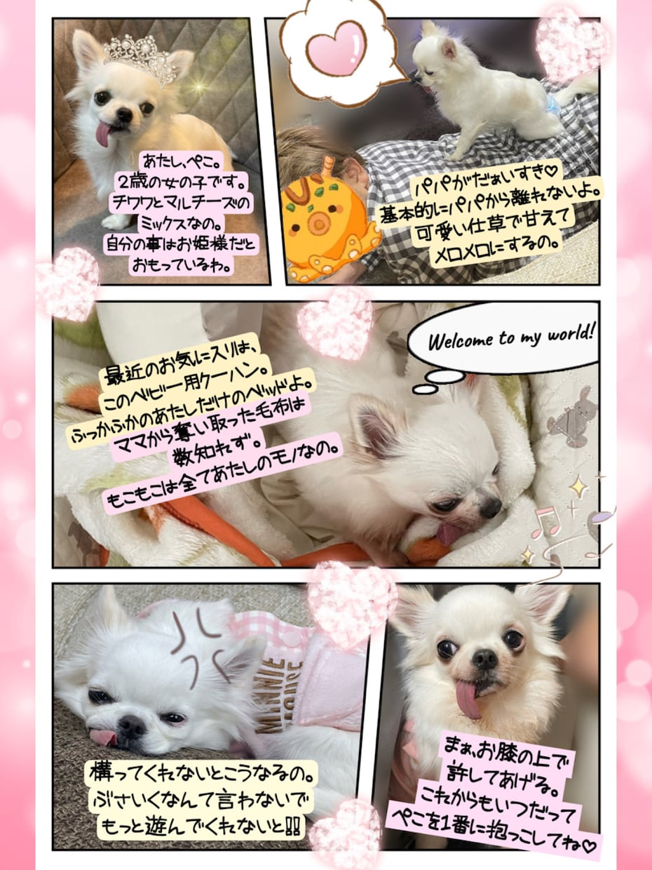 大切な画像を1枚の思い出に可愛くまとめます 大切なペットの画像なども可愛く仕上げます。 イメージ1
