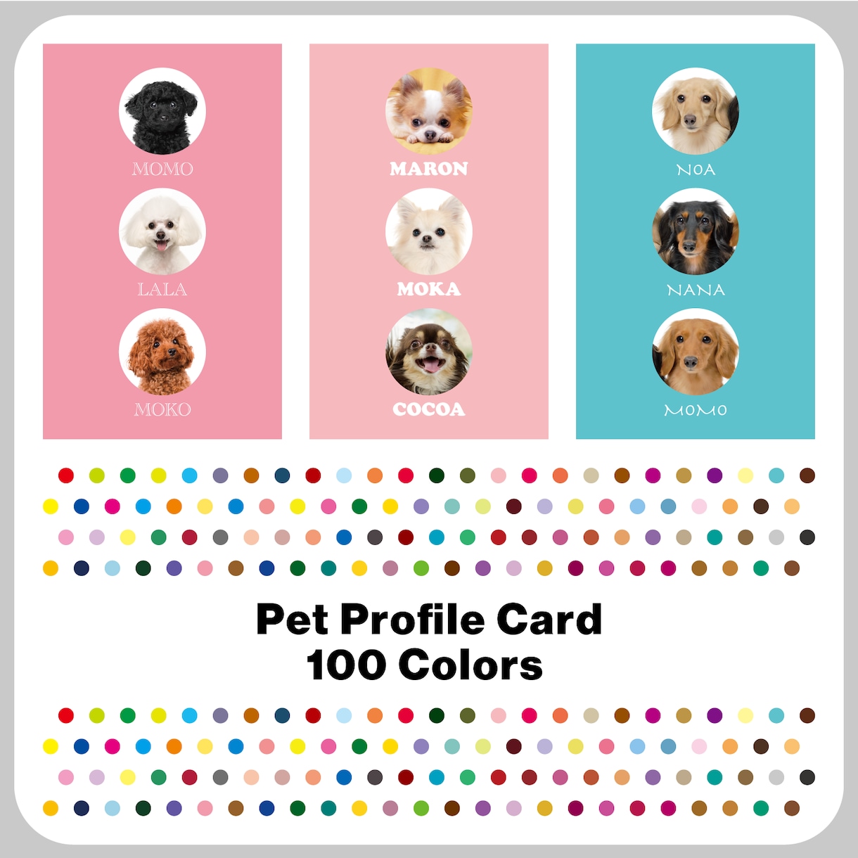 3匹用　シンプルデザイン　うちの子名刺お作りします 【両面印刷100枚】送料無料　セミオーダー　QRコード入り イメージ1