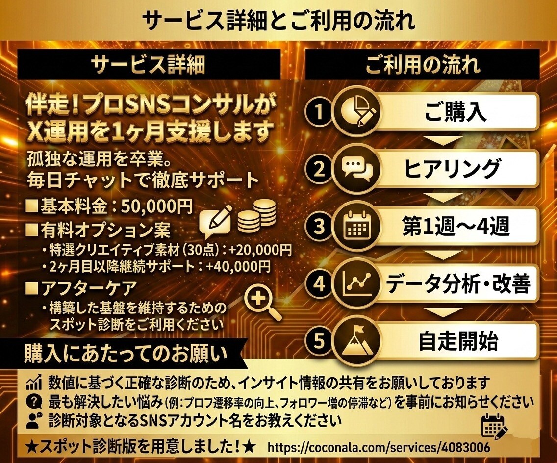 伴走！プロSNSコンサルがX運用を1ヶ月支援します 孤独な運用を卒業。SNSコンサルが毎日チャットで徹底サポート イメージ3
