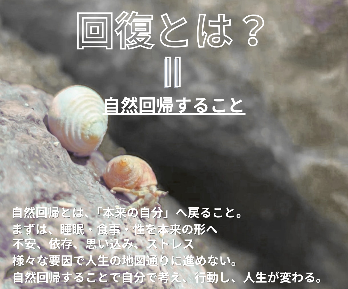 元消防士が人生停滞を読み、本来の自分へ回復させます 100名超の実績。占いと心理学で人生を回復へ導きます。 イメージ5