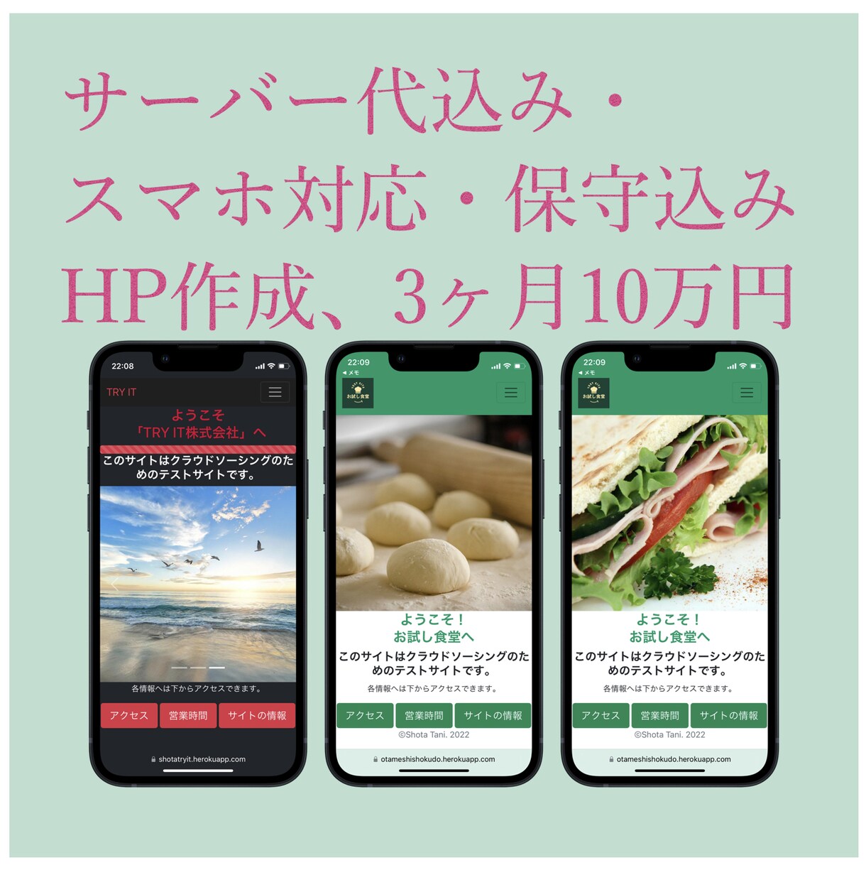サーバー代込みでHPを作成します 暇な大学生が精一杯作成させていただきます！！(python) イメージ1