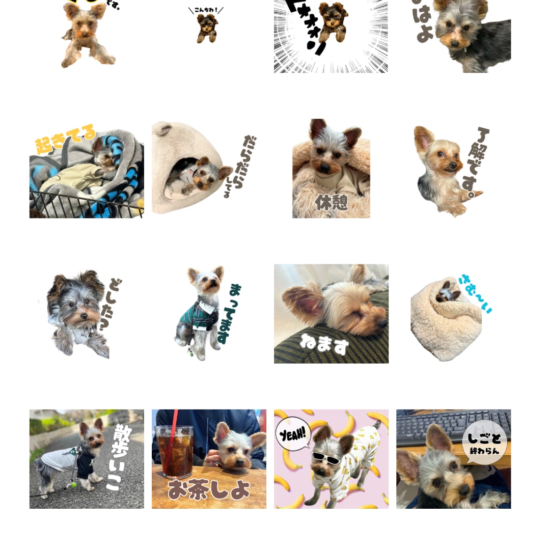 自慢のうちの子（ペット）のLINEスタンプ作ります 特訓期間のため２４個3,000円の１メニューです！ イメージ2