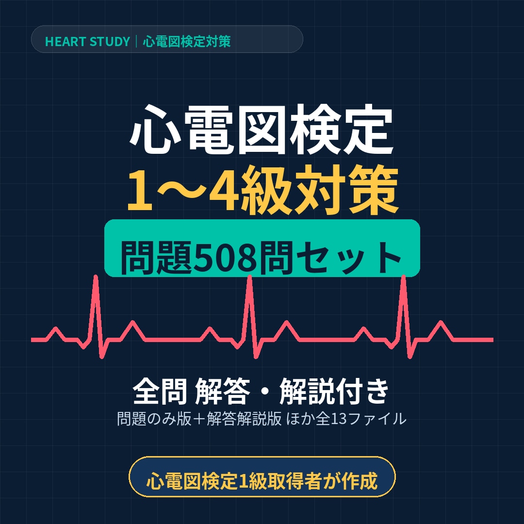 心電図検定1〜4級508問PDFお渡しします 心電図検定1級取得者が作成した対策教材です イメージ1