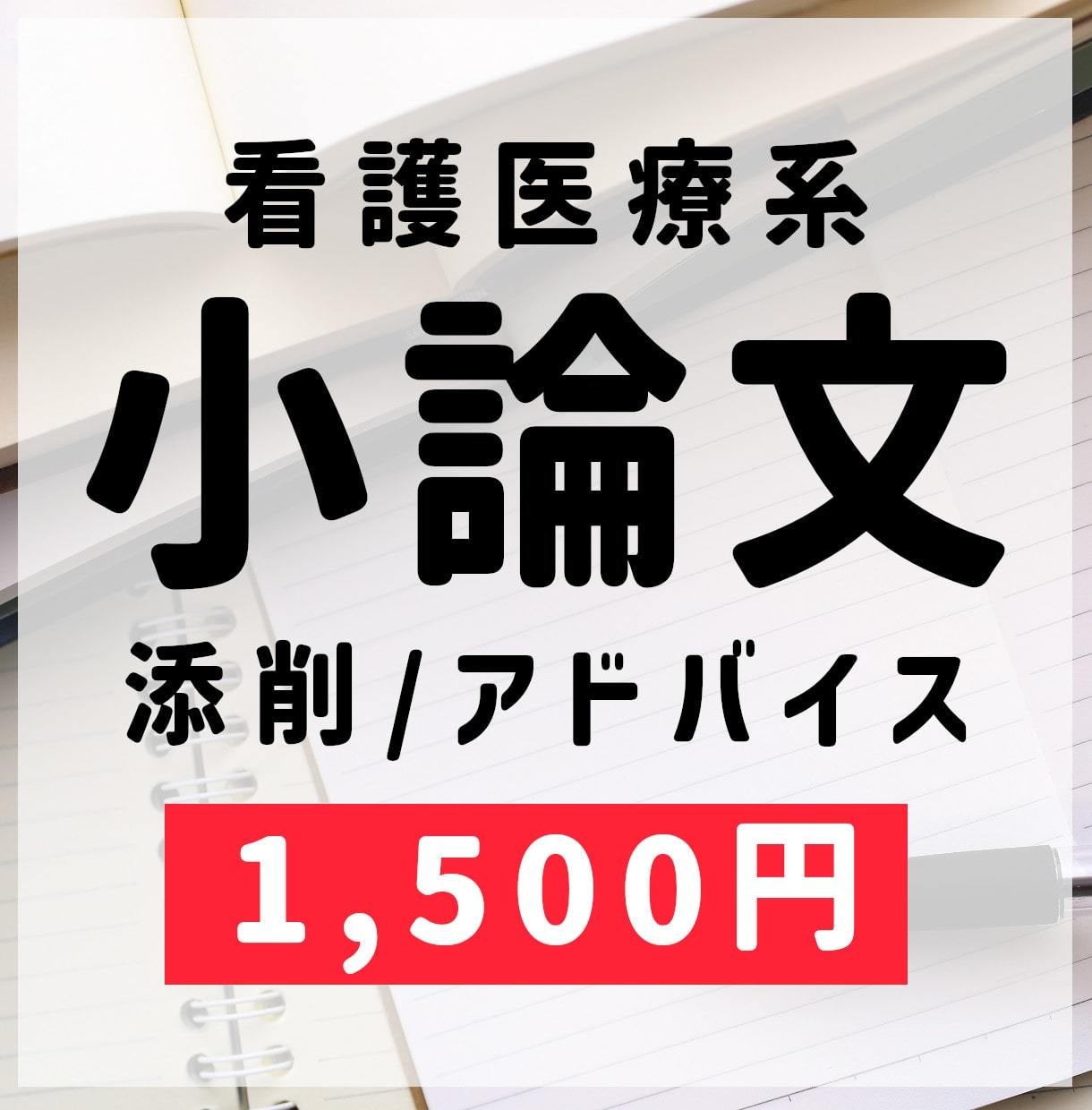 看護医療系の小論文を添削・アドバイスします 看護学校1発合格の私が評価される小論文のお手伝いをします！ イメージ1