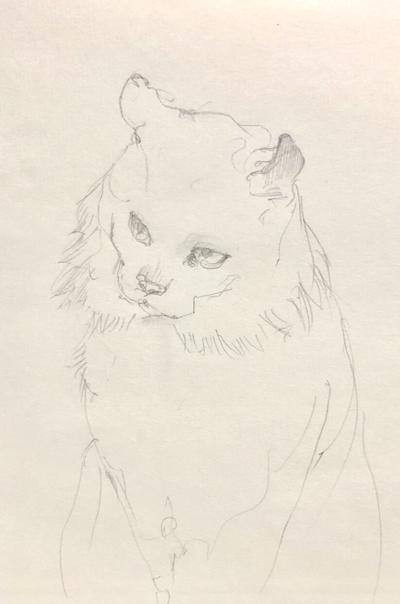 現役藝大がペットの似顔絵をお描きします 藝大生がお客様のペットをご希望のテイストでお描きします。 イメージ7