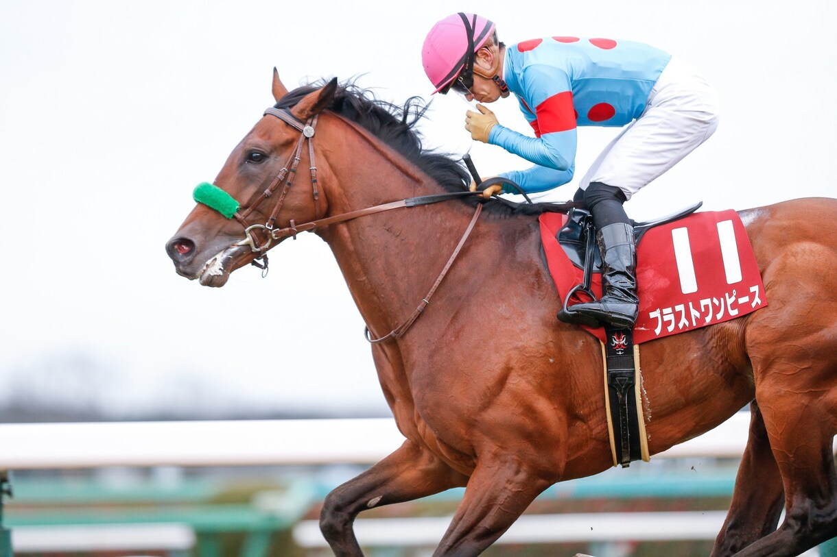 競馬初心者に馬券の買い方教えます 競馬を最近始めたけど当たらない！っていう方でもOKです！ イメージ4