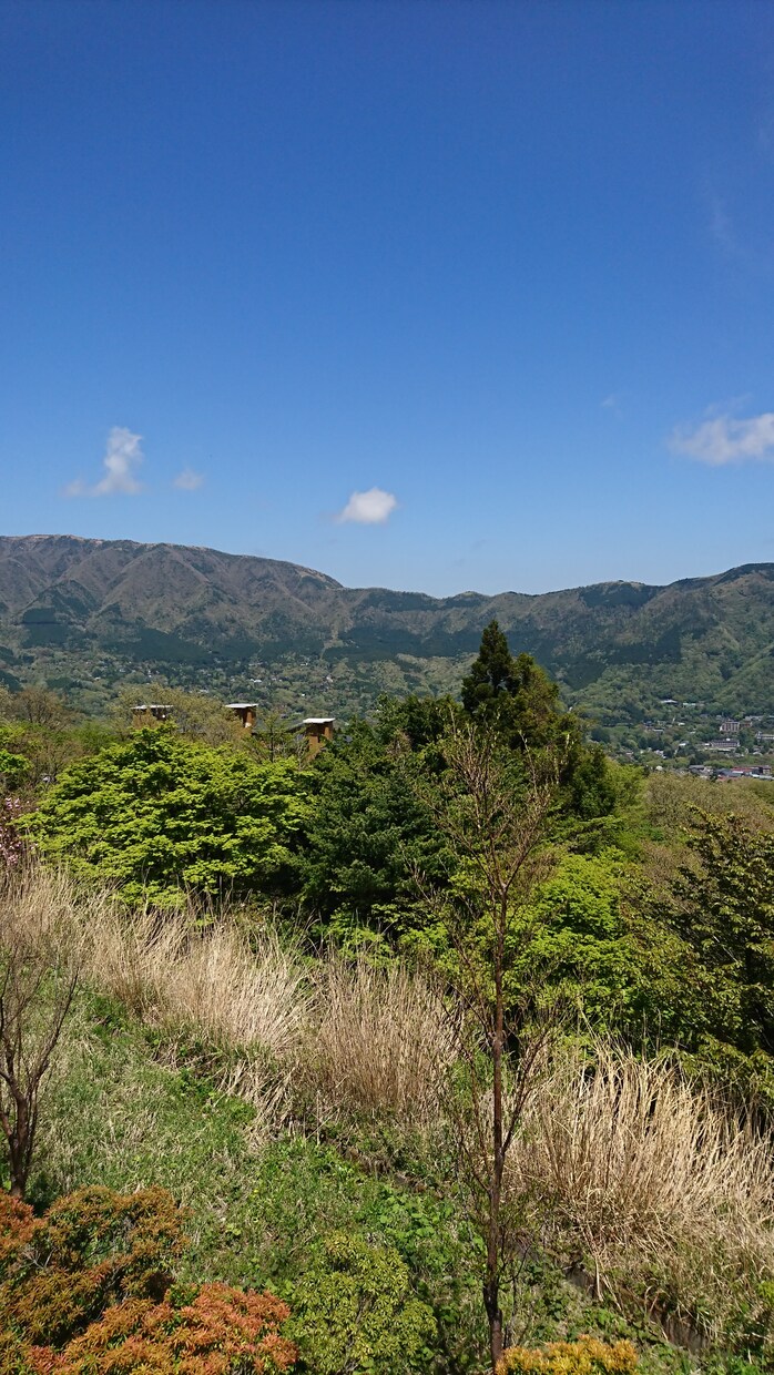 大学受験、高校の日本史教えます 日本史のわからない時代や理解したい時代について教えます❗ イメージ1
