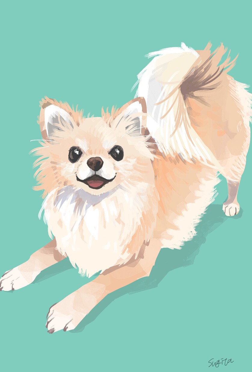 商用可能！写真1枚でペットさんのイラスト描きます ポストカードサイズで納品します！ほんわかテイストです イメージ5