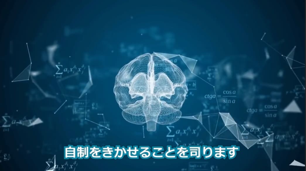 英・和訳して動画に字幕を付けます 歌詞、トーク、YouTube動画など。 イメージ5