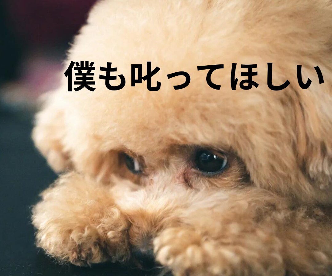 男女OK✨あなたの未来のために❗️あなたを叱ります 叱られたい人♡集まれ✨豊富な人生経験で愛をもって叱ります❗️ イメージ6