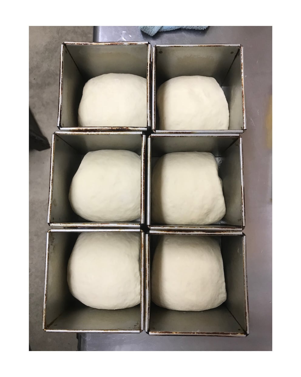 パン作り中級からプロ向けのレシピ教えます もちもち、ふんわり食パンのレシピです。 イメージ2