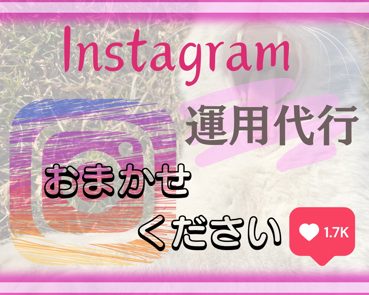 格安！Instagramいいね周り代行いたします 【この値段で！？】いいね周り等の運用代行させてください！ イメージ1