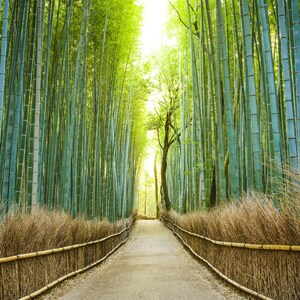 誰かとちょこっと話したいとき、1分でもお話聞きます 雑談から悩み事まで！お試し1分から！途中で切っても大丈夫！ イメージ2