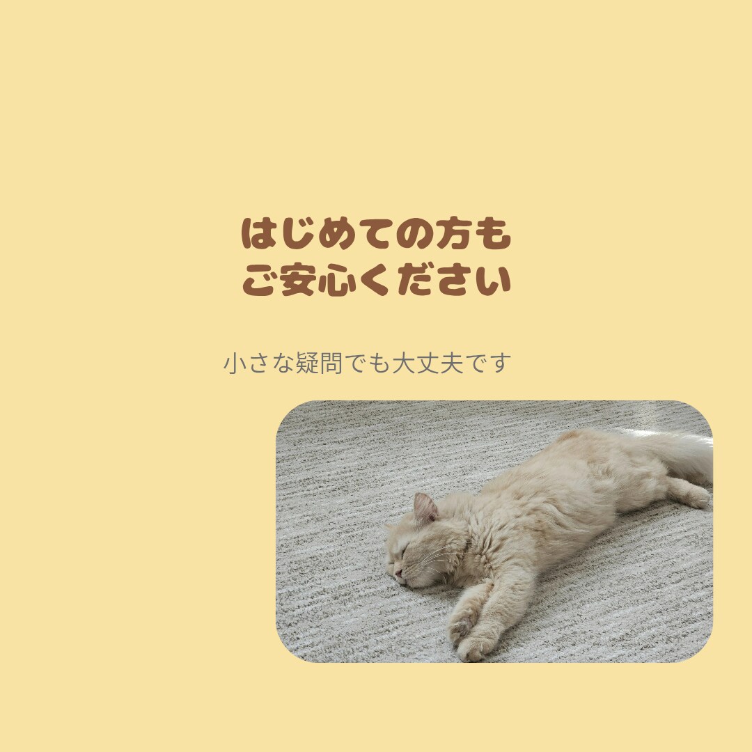 猫 専門 ペットを迎える前の相談承ります 終生飼養の視点で、犬猫飼養アドバイザーが一緒に整理します イメージ3