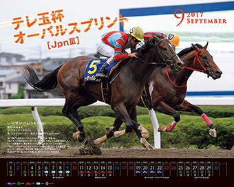 南関競馬・究極の馬券術を教示します 南関競馬に興味のある方。少額投資で高配当を望まれる方。 イメージ1