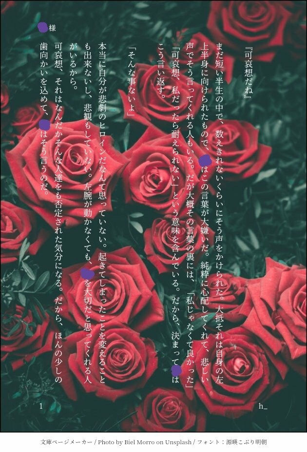 夢小説 オーダー 貴方の為だけに書きます NLBLGL全てOK◎何度でも修正◎お気軽にオーダー下さい！ イメージ3