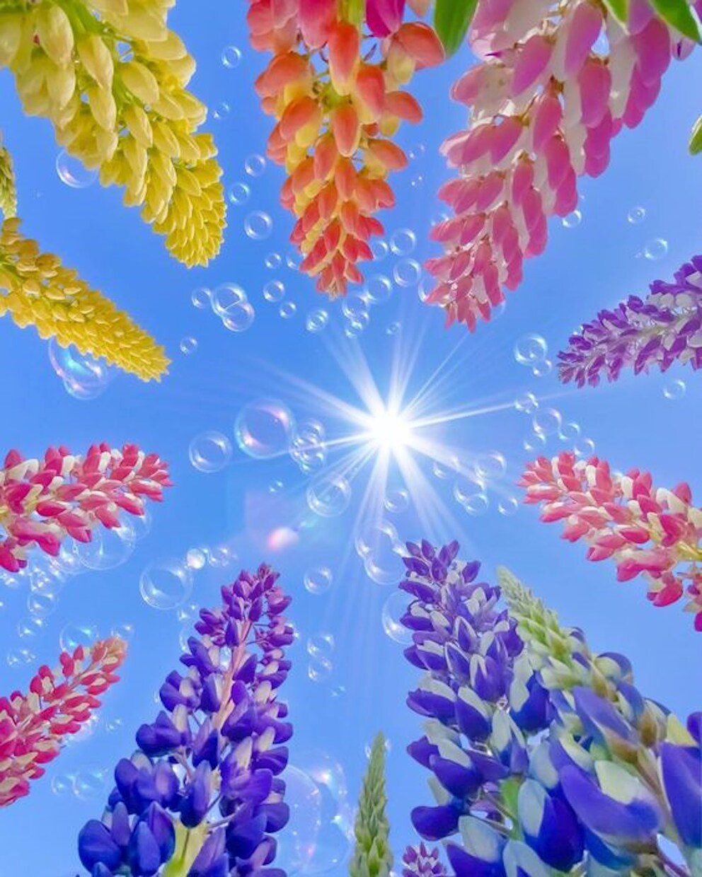 お手軽、簡単、ワンコインであなたの未来を視ます ☆あなたの背中を幸せに向けてそっと押します♪ イメージ9