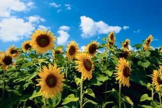 些細な相談から愚痴までなんでも聞きます とにかく相談したい、愚痴を言いたいあなたへ！ イメージ2