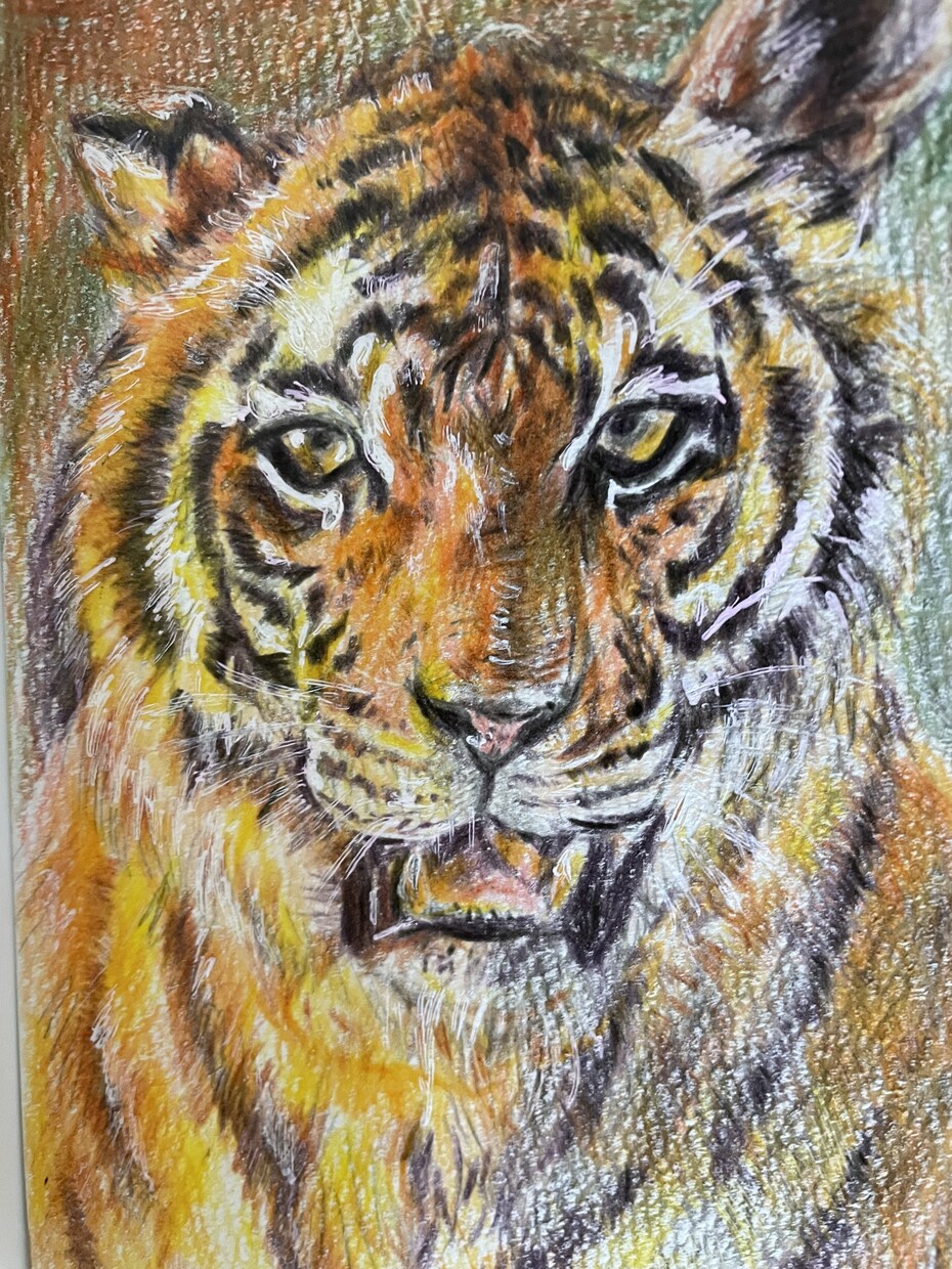 年賀状にも！色鉛筆で動物の絵を描きます 世界でたった一つだけ！動物の可愛い表情を生き生きと描きます イメージ4