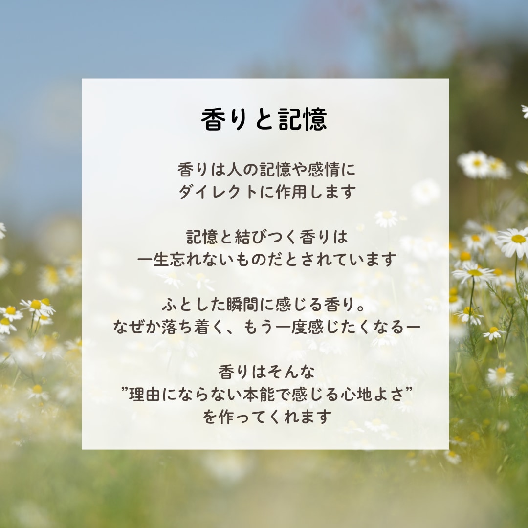 空間・パーソナルフレグランスを調香します あなただけの香りをオーダーメイドで調香します イメージ4