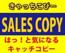３つキャッチコピーを考えます！ イメージ1