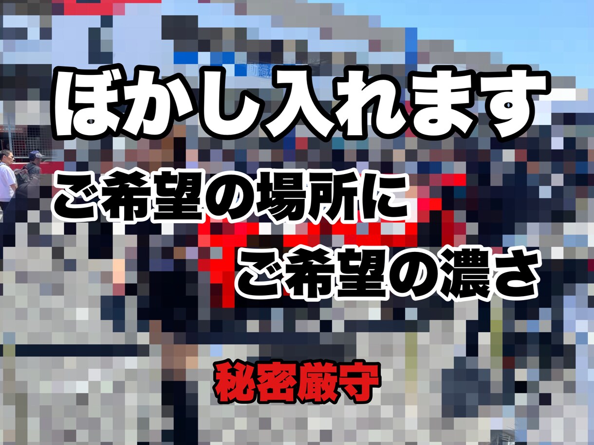 ボカシ加工承ります 送って頂いた動画のご希望の場所にボカシをお入れ致します。 イメージ1