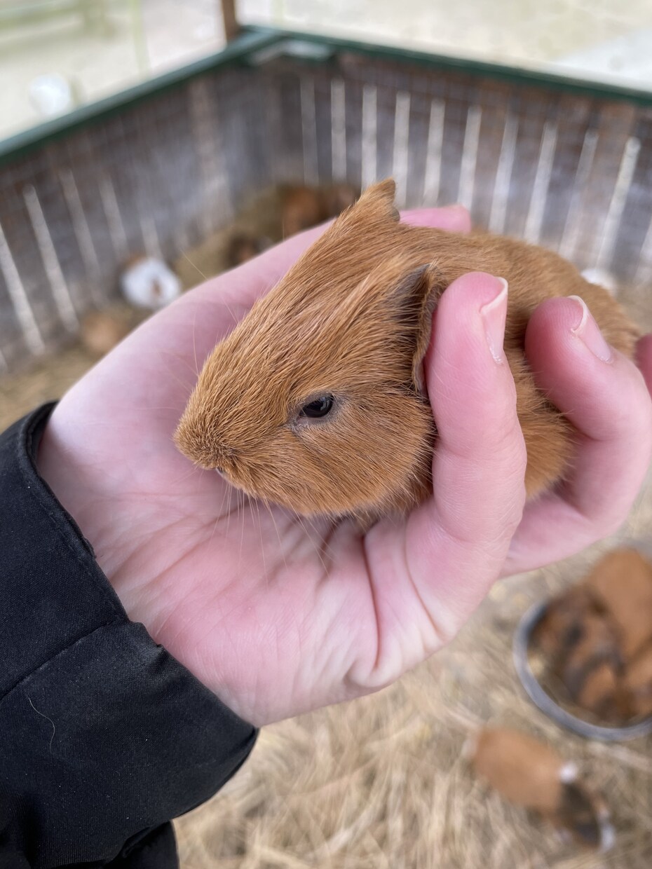 溜まったストレス聴きますます 理学療法士があなたの悩みや愚痴など何でも話し相手になります。 イメージ4