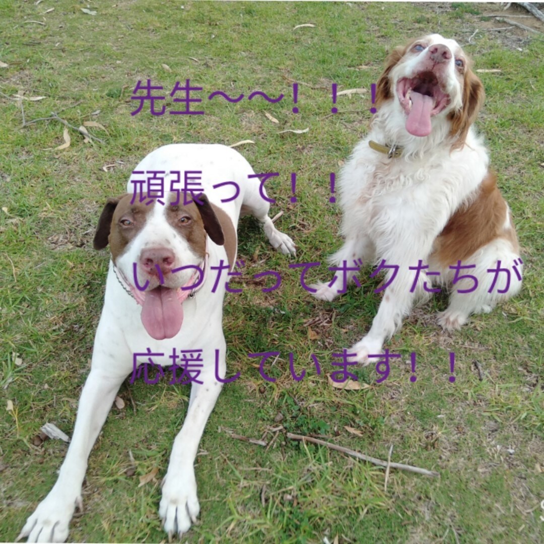子育て／幼児教育についてや先生方のお悩みに答えます プロの意見を聞いて問題解決！個性を伸ばす教育のお手伝い！ イメージ4