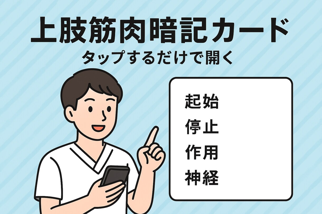 解剖学筋肉暗記カード配布します 解剖学を学ぶ学生さん、新人さん必見！上肢の筋肉暗記カード イメージ1