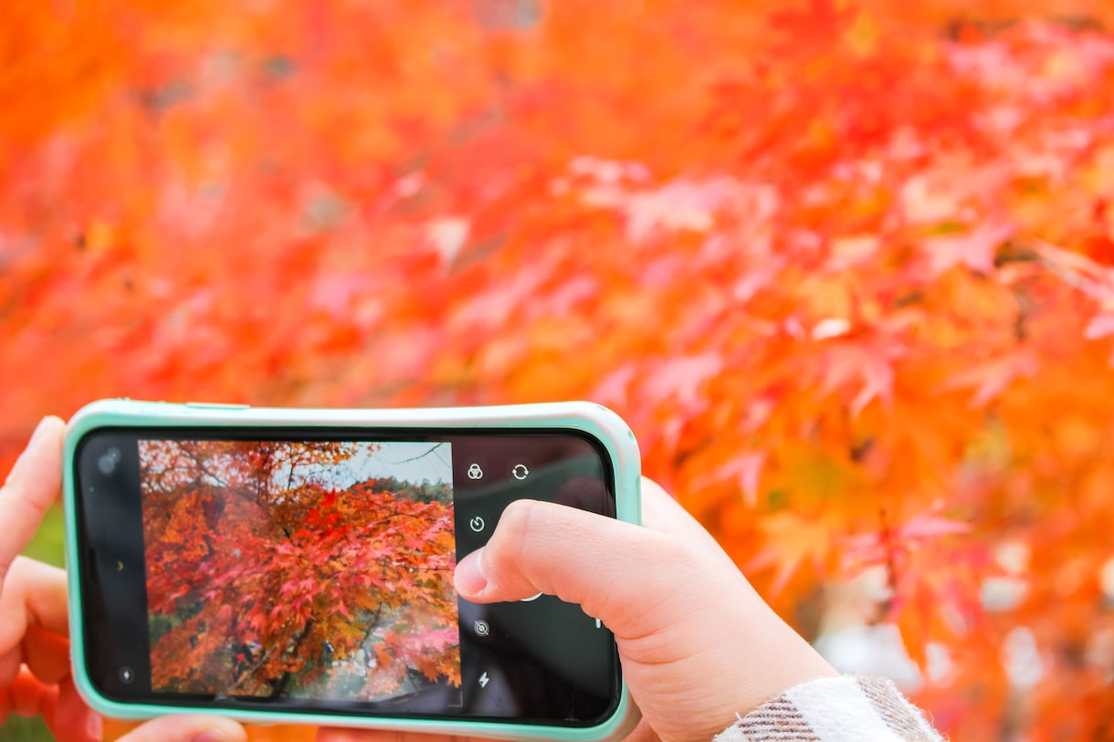 バズり経験あり！！！素敵な写真に仕上げます ご要望通りのレタッチで写真をさらに素敵なものにします♪ イメージ6