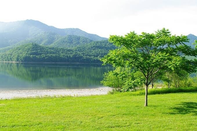 在宅介護者向け⭐︎ 愚痴などの話し相手になります 深夜から朝まで孤独を感じる方に！ イメージ1