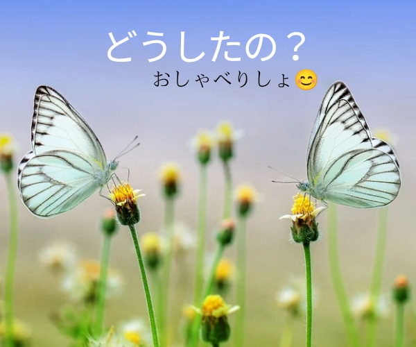 今すぐ話そ！全力で味方になります 貴方の味方になって、お話し聞かせていただきます。1分でもOK イメージ1