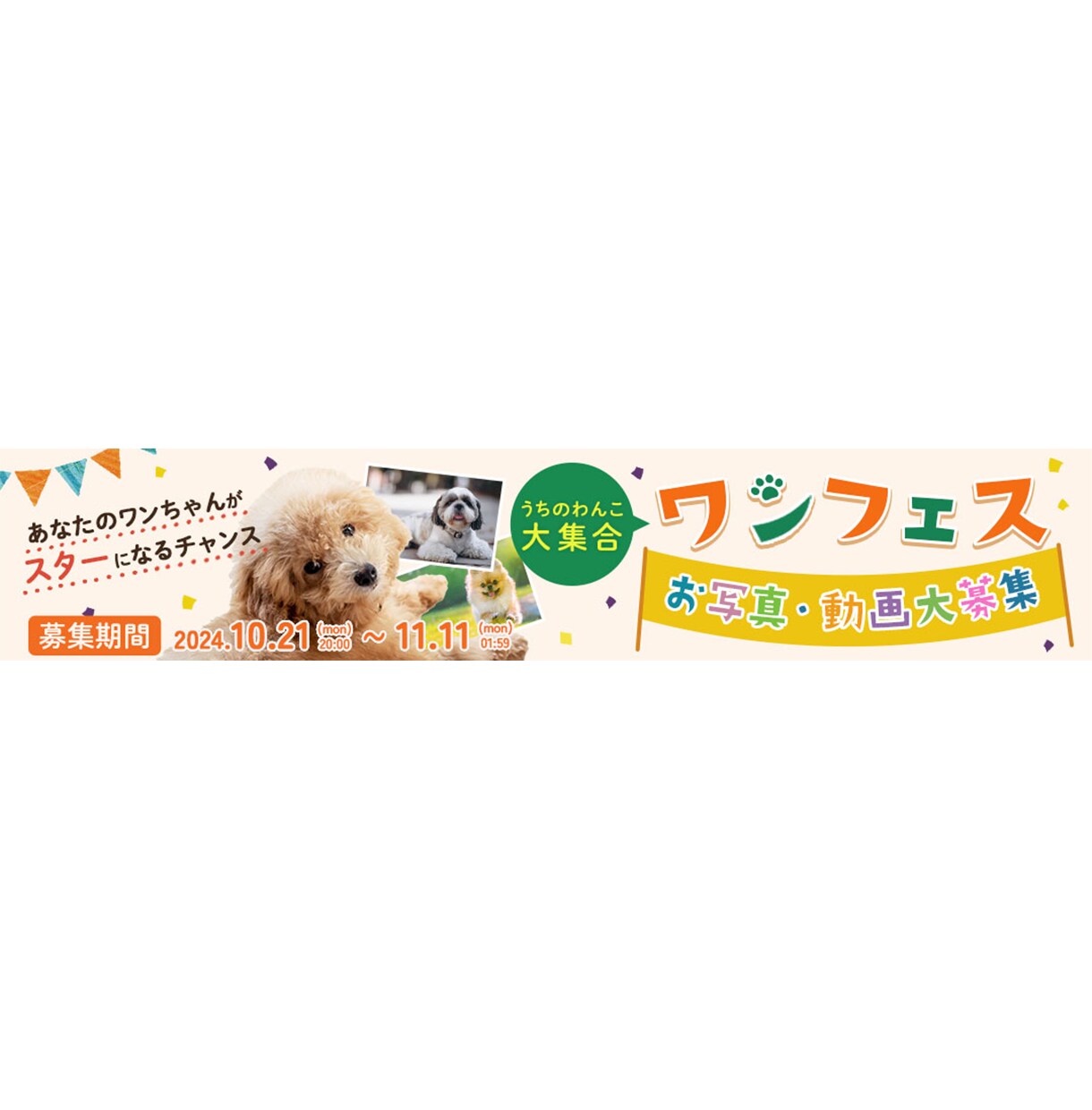 女性向けWEB画像を制作します 女性の目を惹く魅力的なWEB画像を制作します！ イメージ4