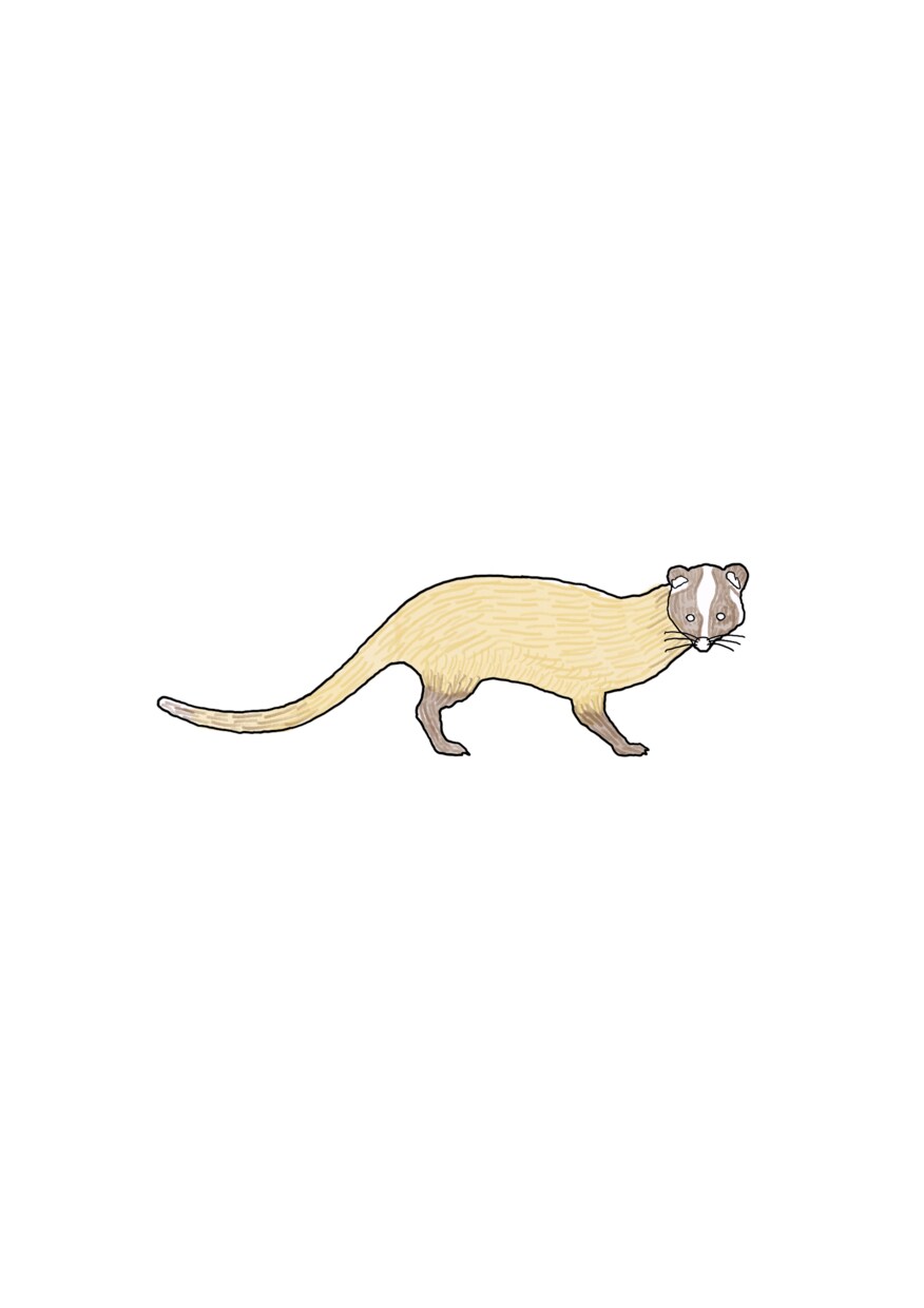 イメージのようなテイストのイラストを描きます リアリティがありながら、可愛らしさのあるイラストが得意です。 イメージ6