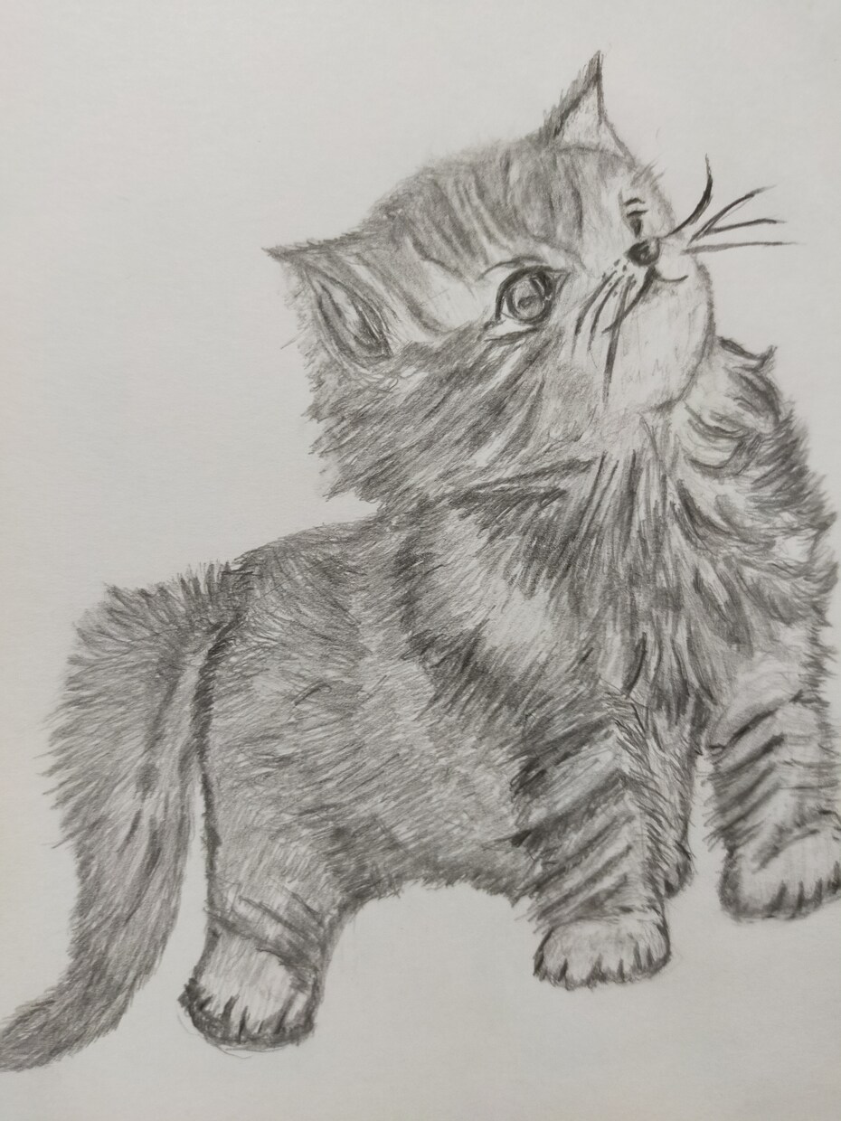 猫好きの方にお勧めします 癒しを感じるように鉛筆で書き上げました。 イメージ1