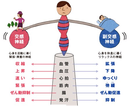 自律神経を整えることの重要性教えます 自律神経を整えるとあらゆるパフォーマンスが上がります。 イメージ1