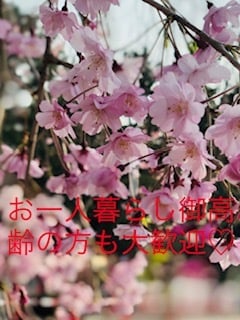 コロナ禍でも、いつでも電話で繋がれます お一人暮らしやご高齢の方も大歓迎！気兼ねなく電話して下さい。 イメージ1