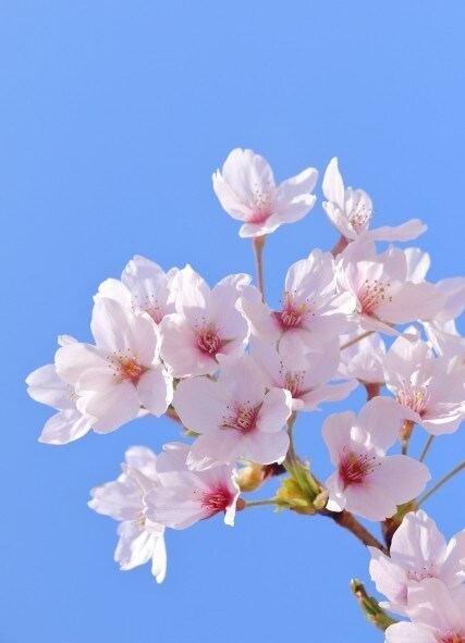 話してスッキリしたい方、お待ちしています 5分など短時間でもOK日常から少し離れて、お話しましょう イメージ7