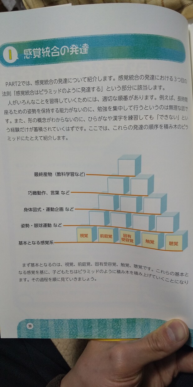 発達障害を含めた育児相談にお答えします 育児や発達にお悩みの方へ向けたメッセージです(^o^) イメージ2