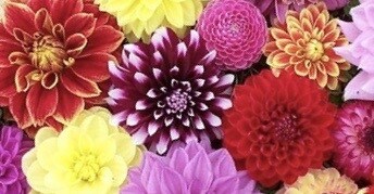 溺愛され愛し合う幸せなお2人にします 今どんな関係性でもあなたを溺愛することになります イメージ1