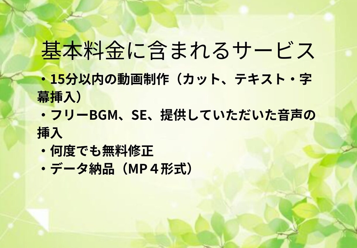 格安で自分のイメージした動画をつくれます 細かいところまで指定できるから作りたい動画が作れる‼︎ イメージ3