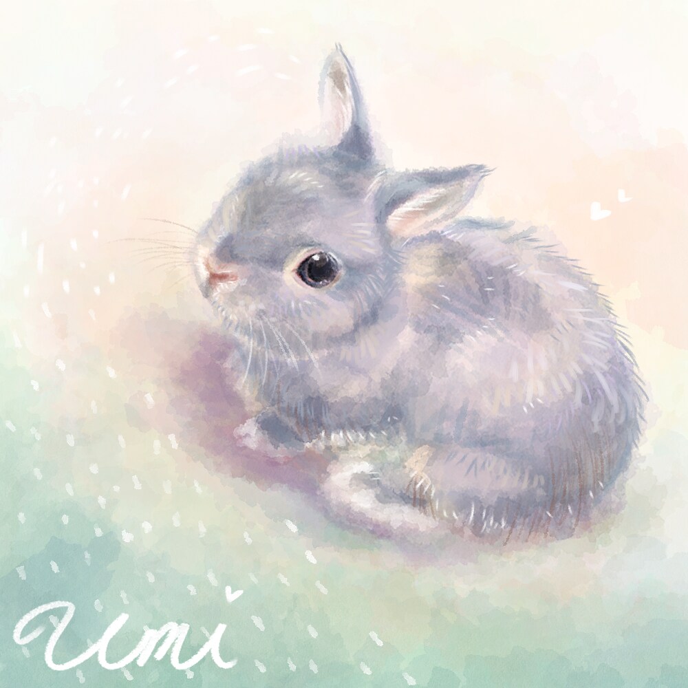 あったかくてやさしいペットのイラストお描きします 愛するペットの思い出を形に残しませんか？ イメージ2
