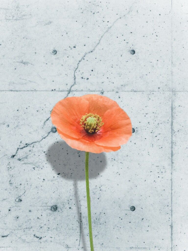 画像のクオリティ上げます photoshop歴10年目のプロが画像のクオリティを格上げ イメージ2