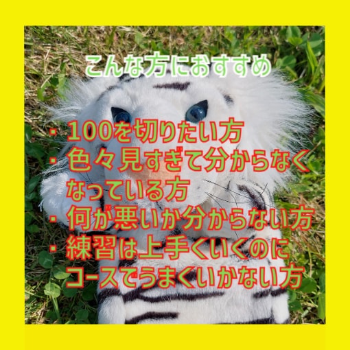 リピーター続出！のレッスンをココナラで開始致します ✨スコア100以上の方向け動画添削レッスンです✨ イメージ6
