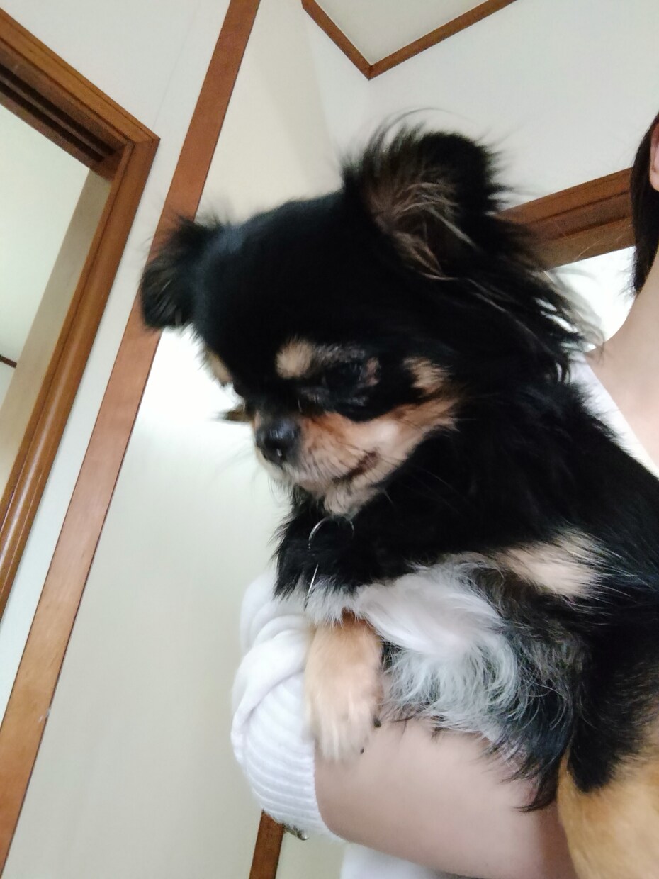 追いかける恋愛が辛い方、話聞きます 生きてることが楽しくなったお話させてください！ イメージ1